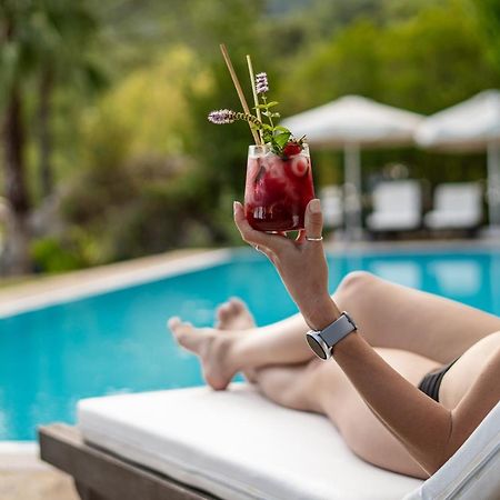 Olympos Mountain Lodge ベイジック エクステリア 写真