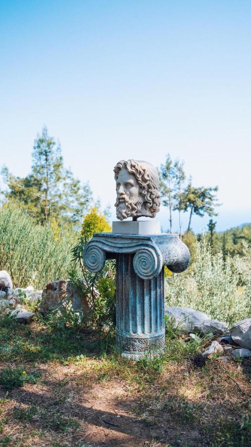 Olympos Mountain Lodge ベイジック エクステリア 写真