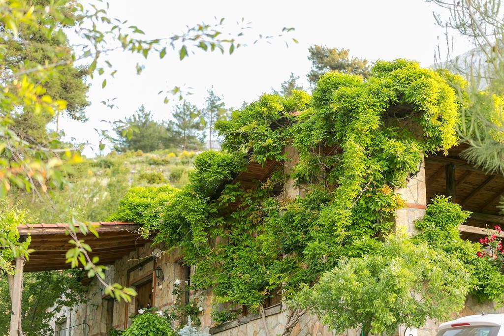 Olympos Mountain Lodge ベイジック エクステリア 写真